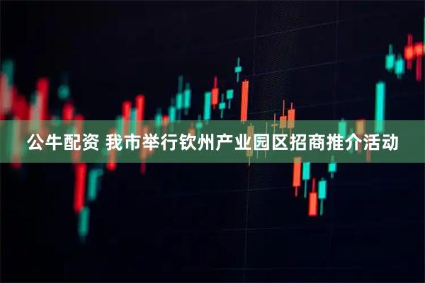 公牛配资 我市举行钦州产业园区招商推介活动