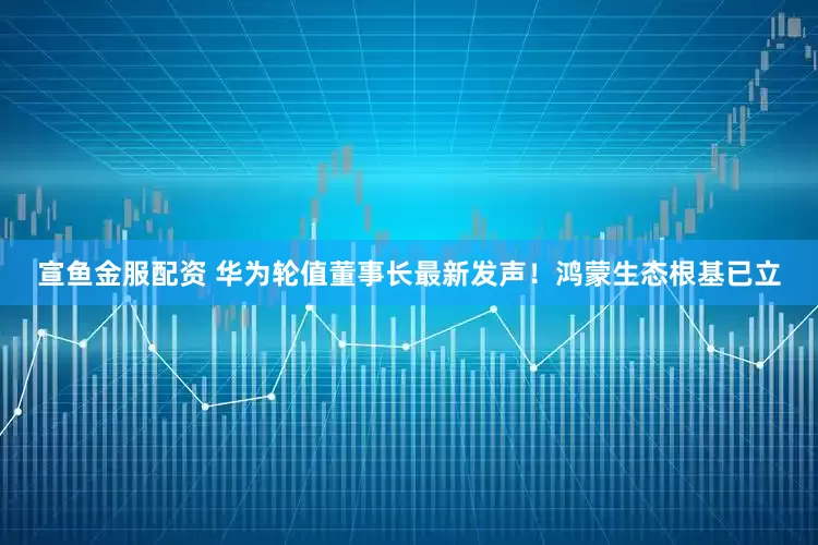 宣鱼金服配资 华为轮值董事长最新发声！鸿蒙生态根基已立