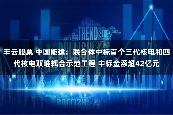 丰云股票 中国能建：联合体中标首个三代核电和四代核电双堆耦合示范工程 中标金额超42亿元