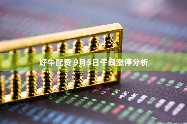 好牛配资 9月5日午间涨停分析